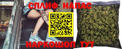 гидропоника Будённовск