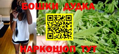 гидропоника Будённовск
