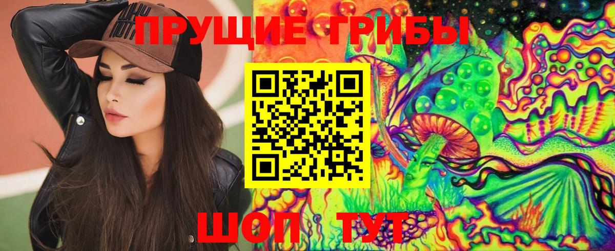 Псилоцибиновые грибы мицелий  Псилоцибиновые грибы ЛСД  Вход с VPN  Новозыбков 