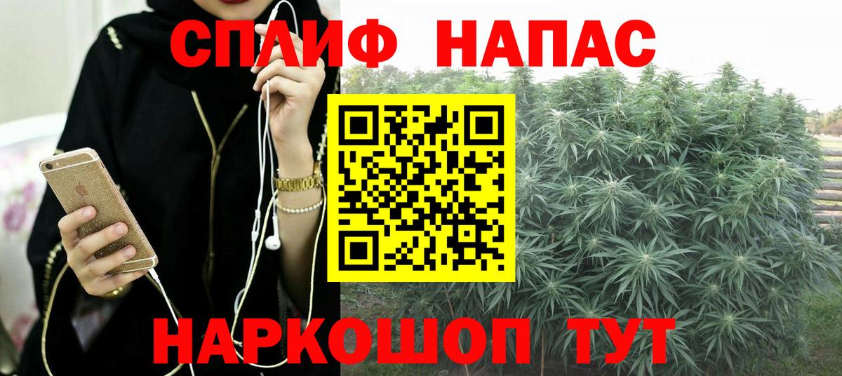 Каннабис SATIVA & INDICA Новозыбков
